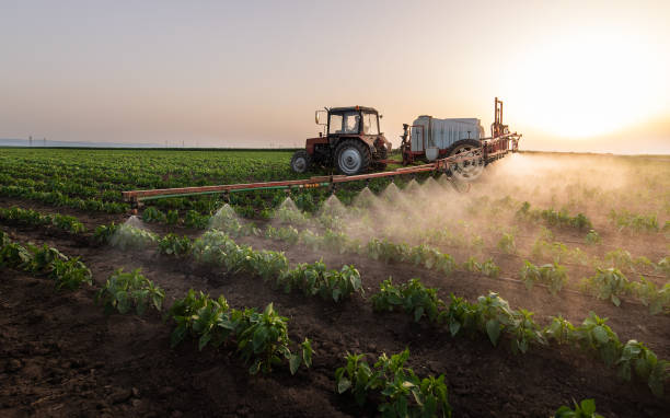Professional Pest Control in West Perrine, FL
