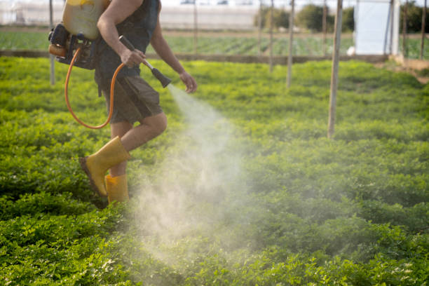 Best Pest Removal Services  in West Perrine, FL