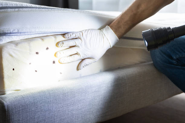 Pest Prevention Services in West Perrine, FL