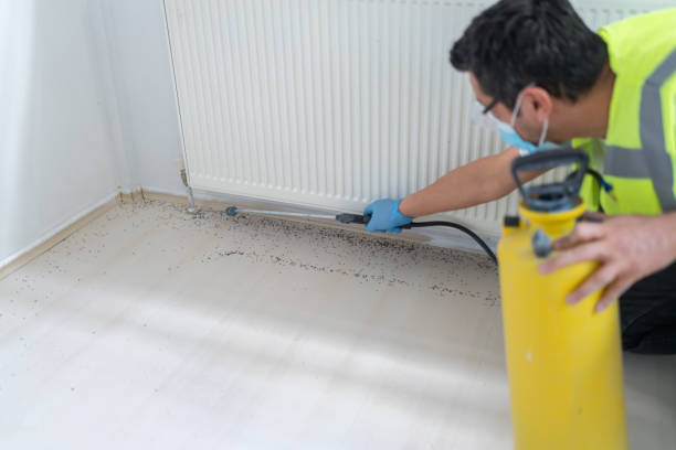 Best Bed Bug Extermination  in West Perrine, FL