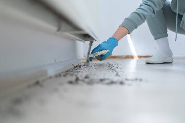 Best Residential Pest Control  in West Perrine, FL