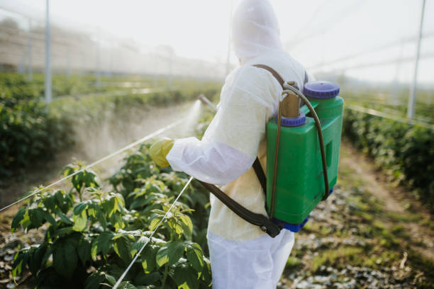 Best Exterminator Services  in West Perrine, FL